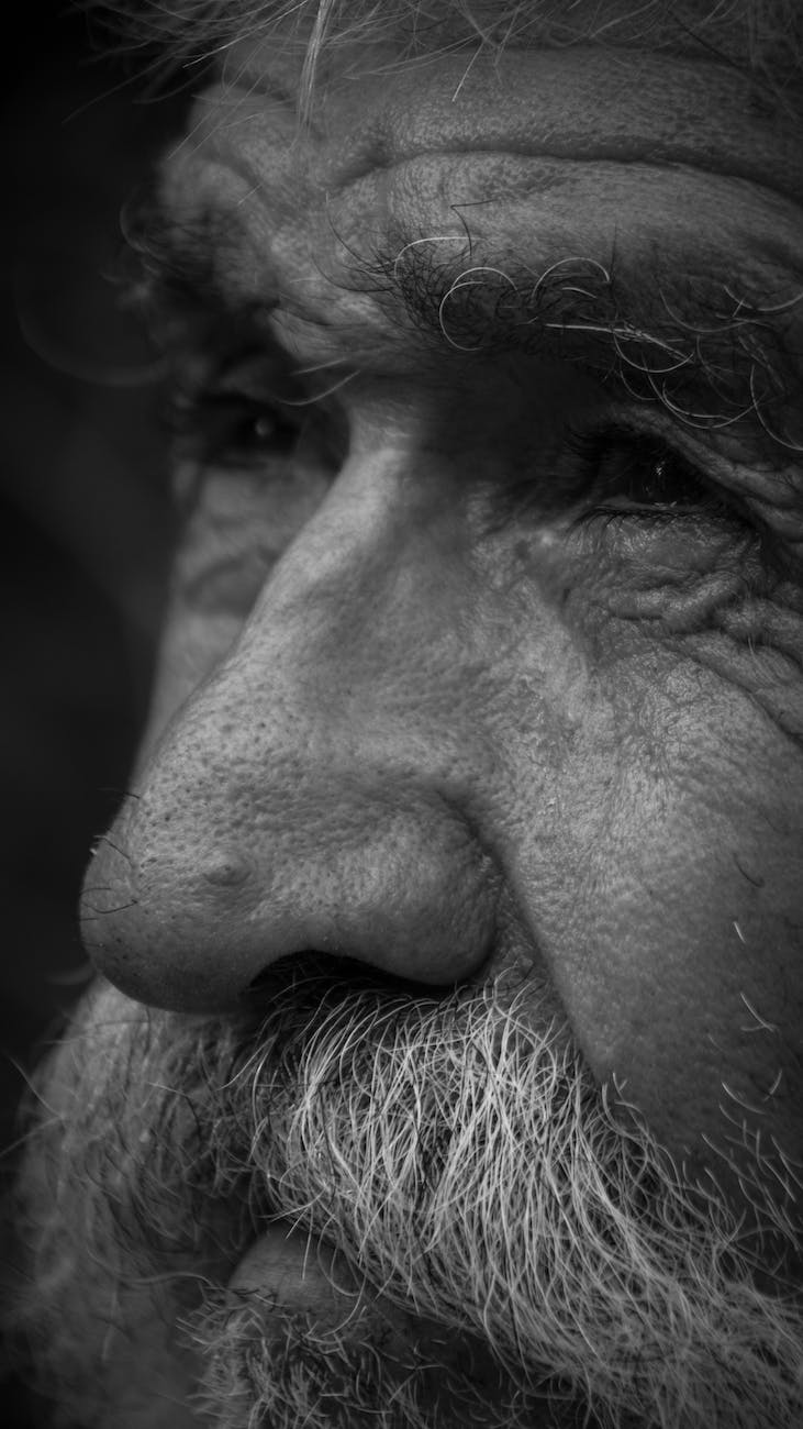 This image has an empty alt attribute; its file name is pexels-photo-13304447.jpeg